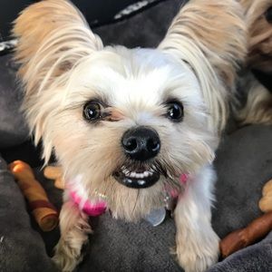 Meet your Posher, Lori